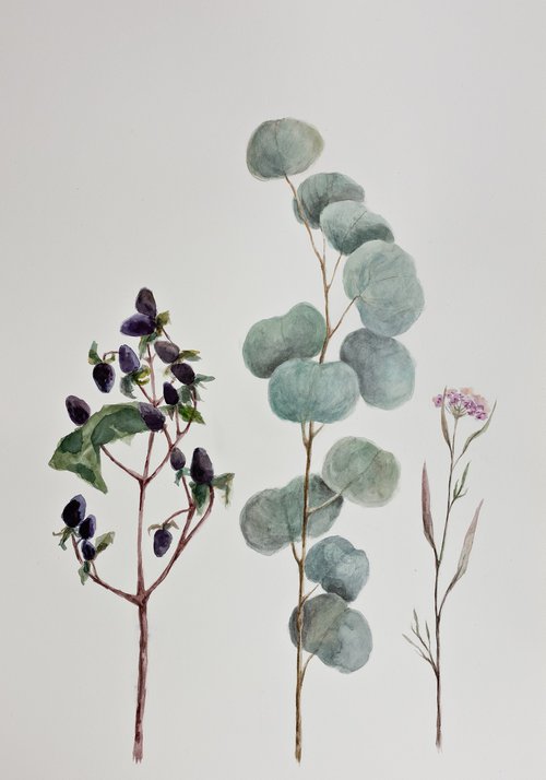 Eucalyptus branch and flowers by Nastassia Bas