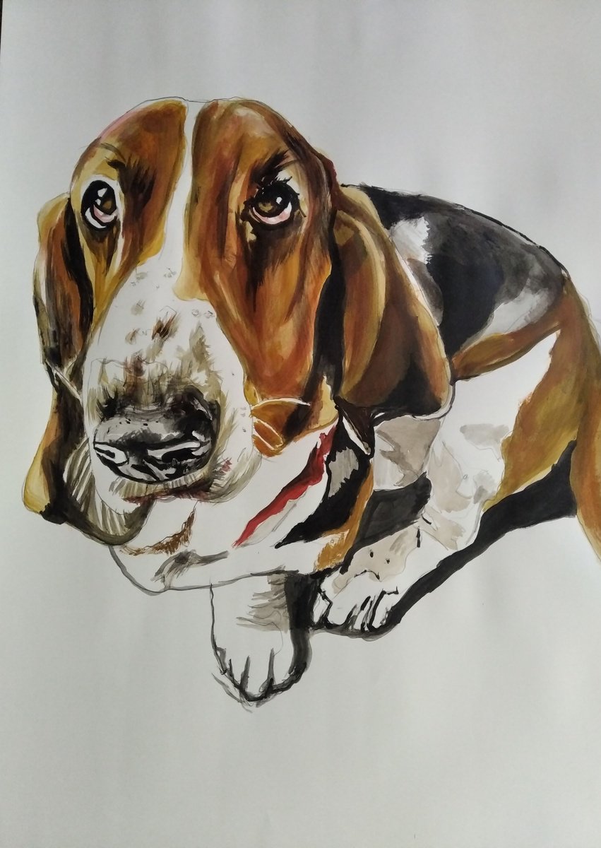 Photorealistic Animal Acrylic Painting By Soso Kumsiashvili, 24 X 33", Bassethound, Original Artwork