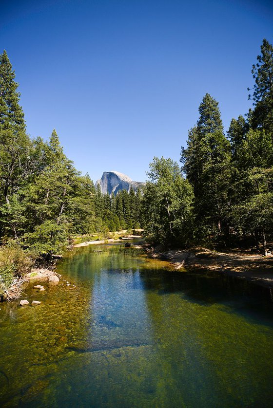 Yosemite Stream Photographic Print