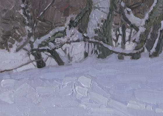 February. Alley in Tsaritsyno Park