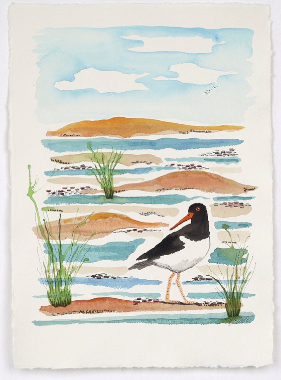 Oystercatchers Tide