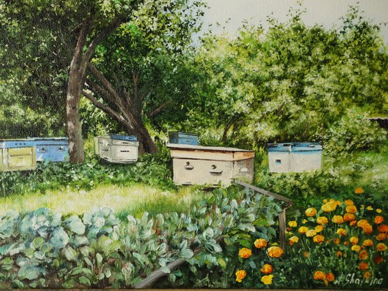 Backyard Bee Hives, Summer Orchard Scenery.