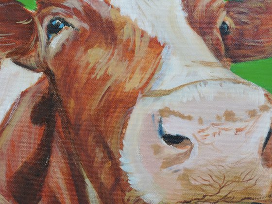 Cow portrait close up painting green background