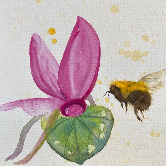 Bee & Cyclamen flower
