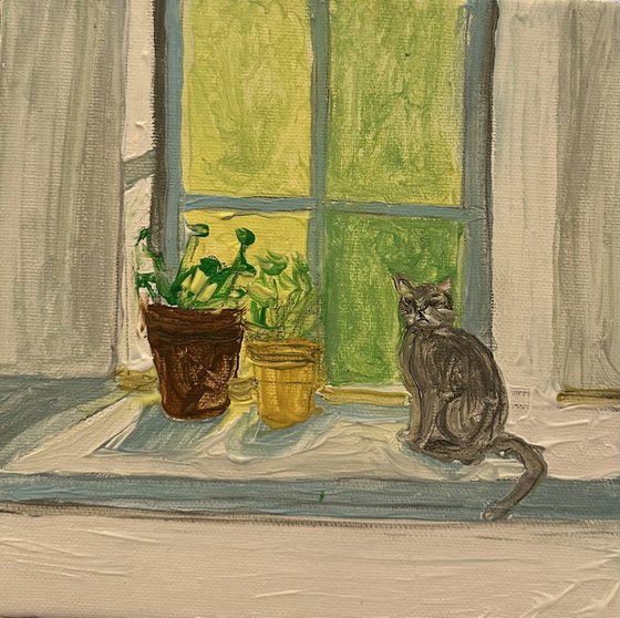 Cute little cat on a Saturday