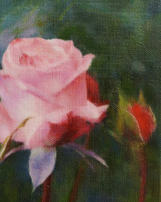 Rose and the Stream of Time