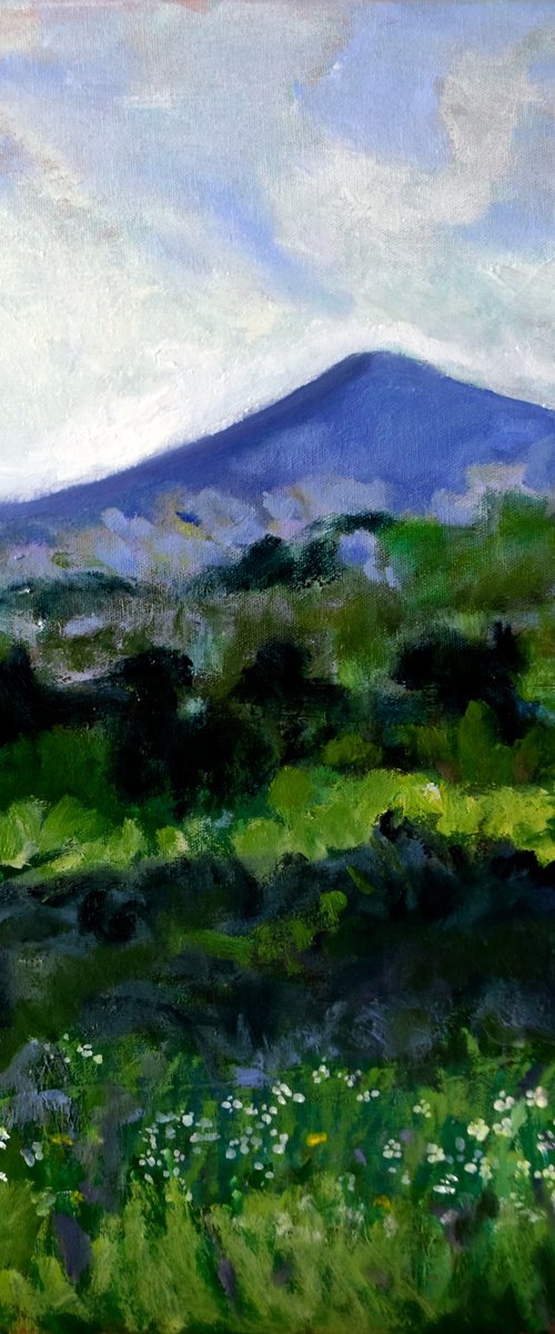 Mountain landscape by Cristian Valentich