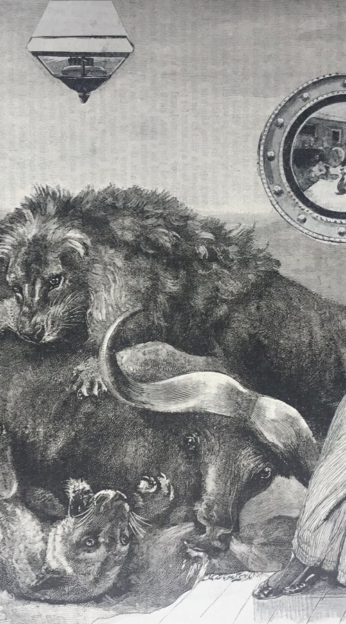 African buffalo and lions by Tudor Evans