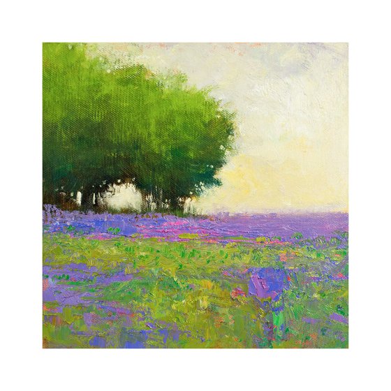 Lavender And Trees