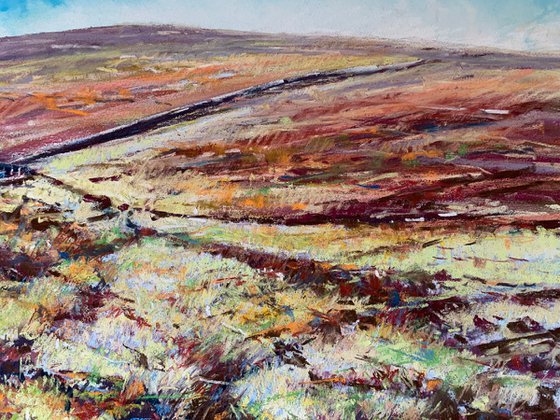 Moorland Colour