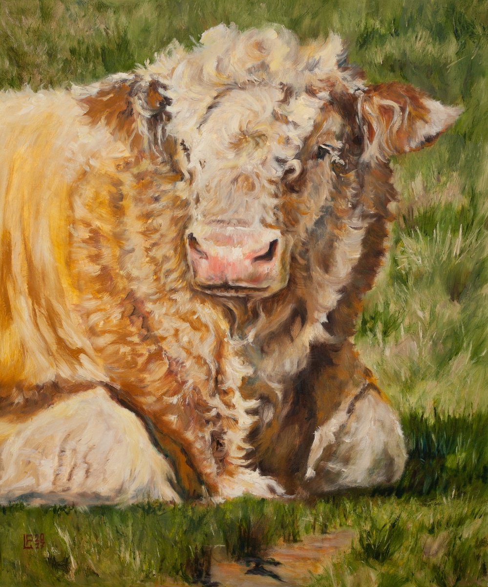 Photorealistic Animal Oil Painting By Liudmila Pisliakova, 20 X 24", The Big Boy Bull, Original Artwork