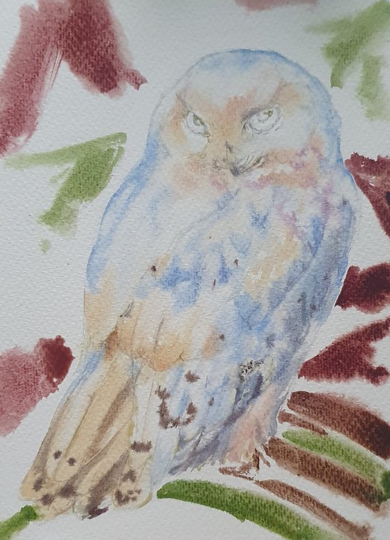 White owl (First snow in the old forest)