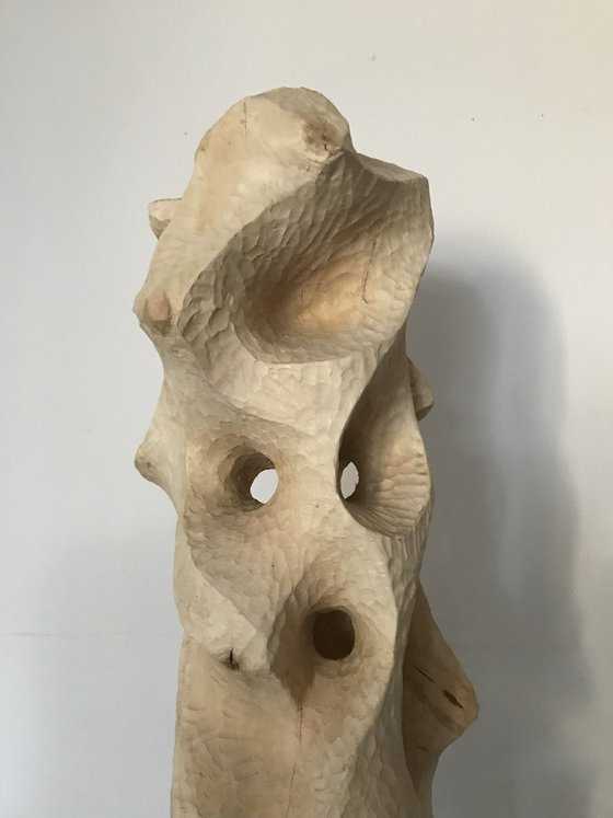 Betula