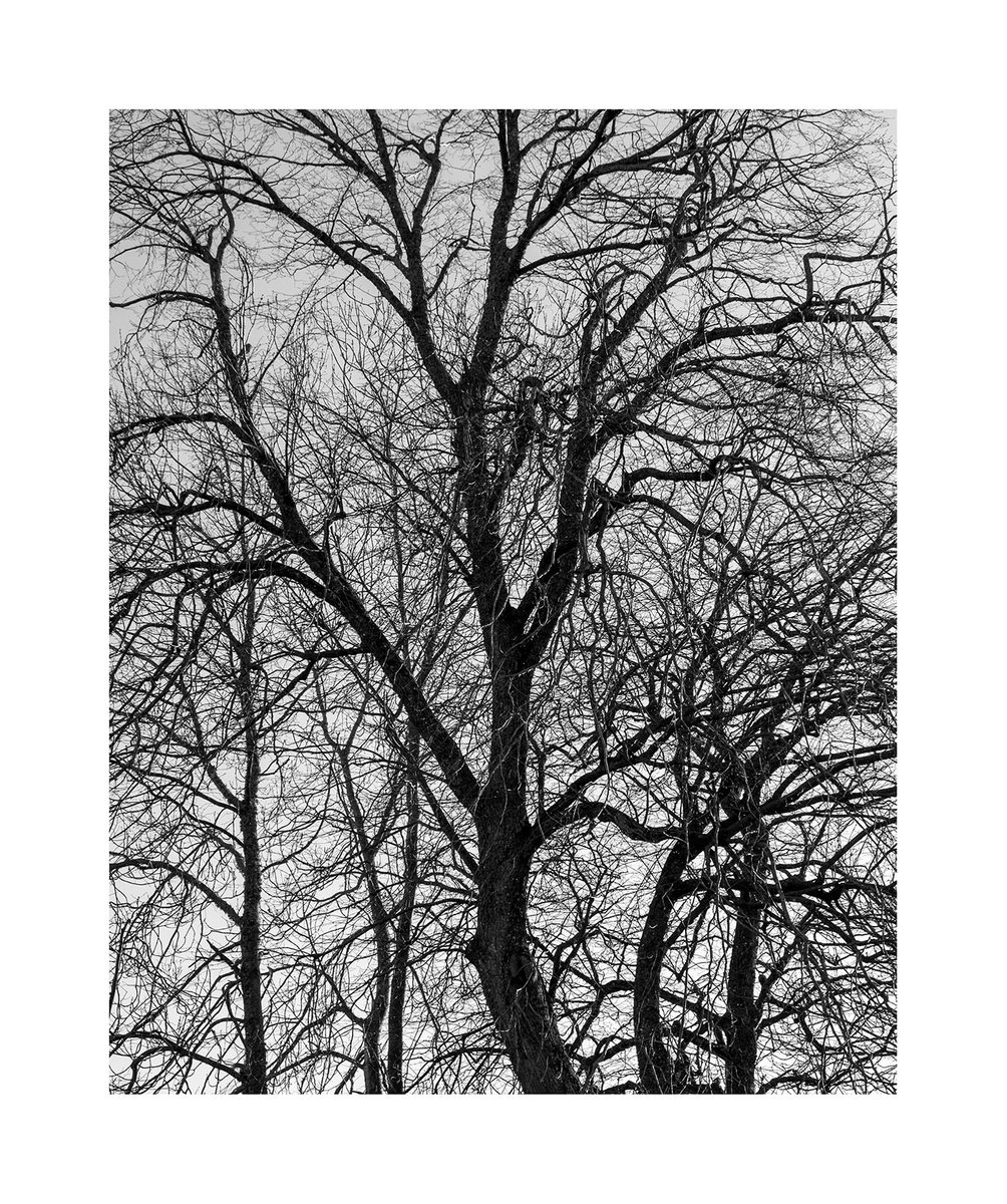 Enclosure III by David Baker