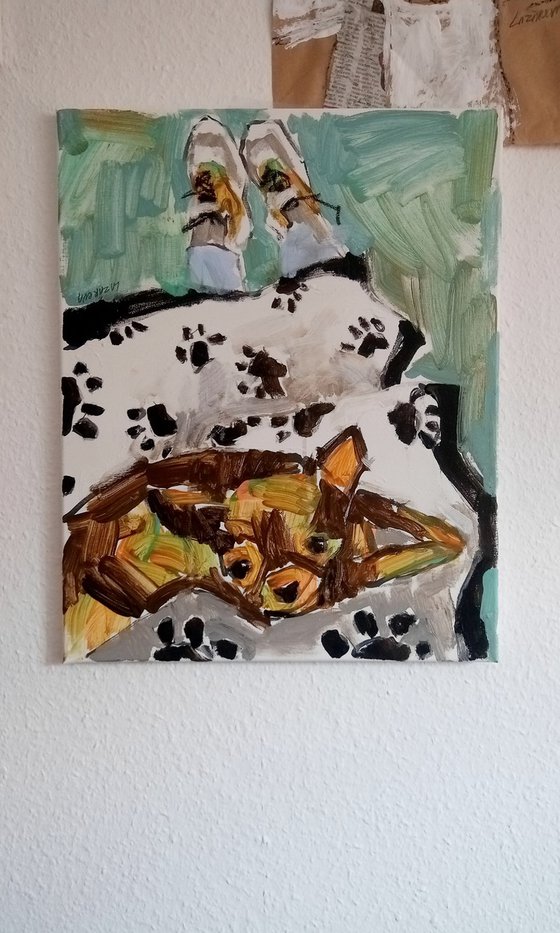 #74/24 Chihuahua