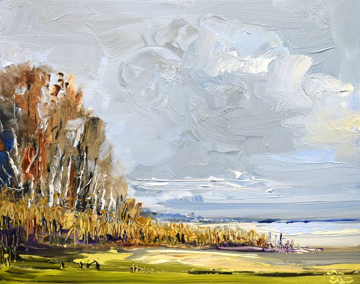 Water Light By Sonja Brussen, 8 X 7, Artwork For Sale On Artfinder
