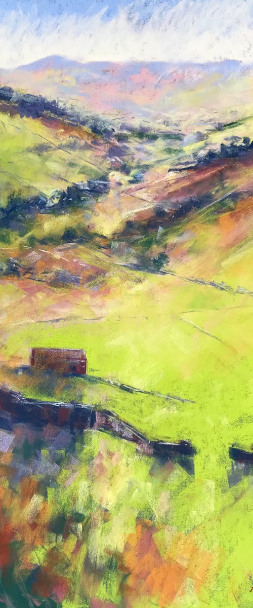 Daleside Light by Andrew Moodie