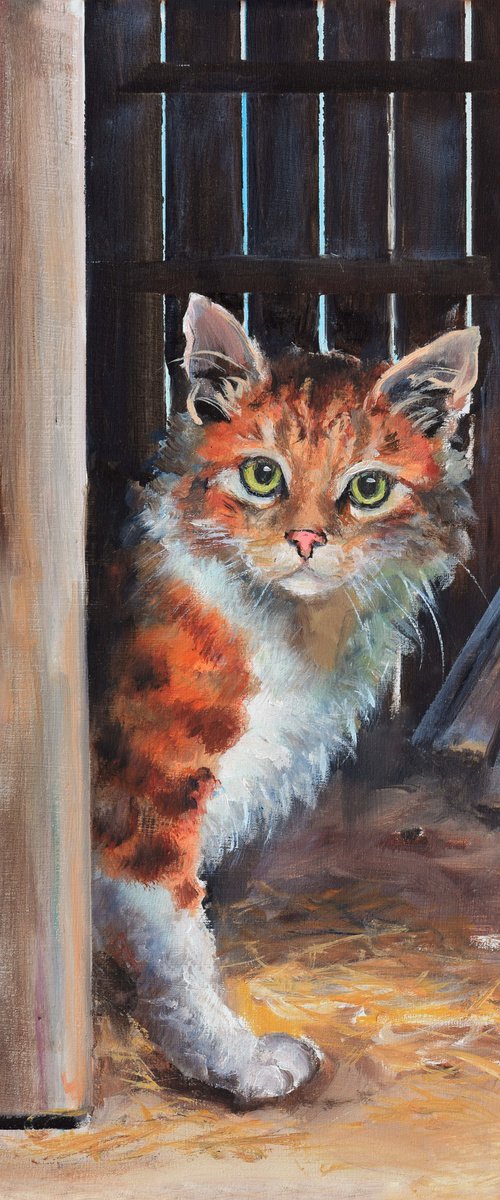 Tabby orange cat in a barn by Lucia Verdejo
