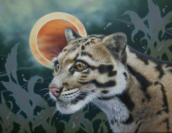 Beneath the Eclipse - Clouded Leopard