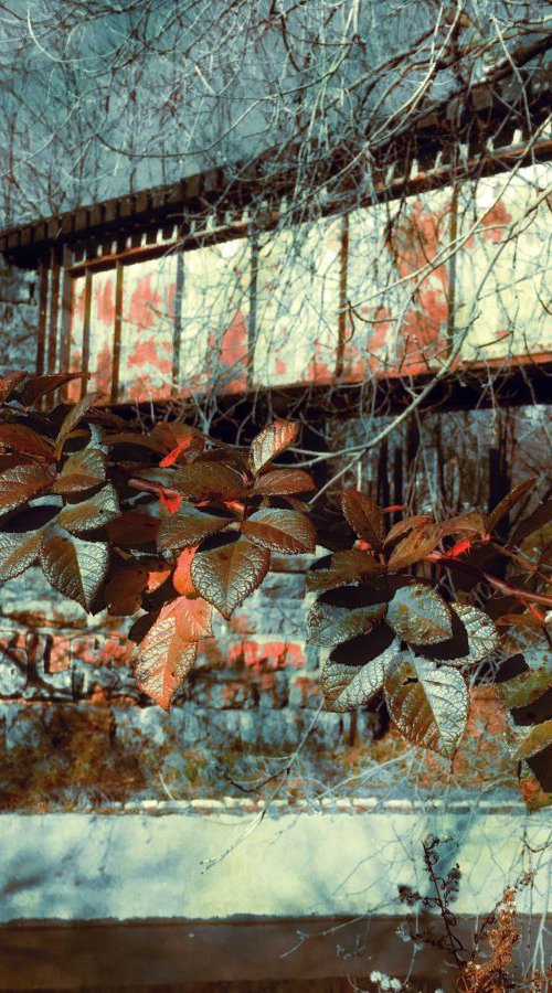 Autumn Leaves by Train Trestle by Barbara Storey