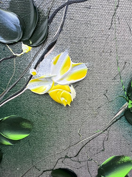 Yellow Flowers