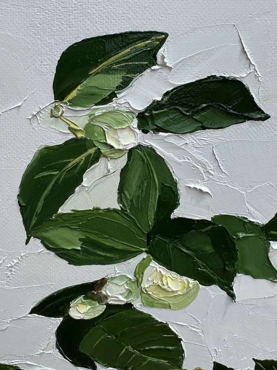 Before unfolding