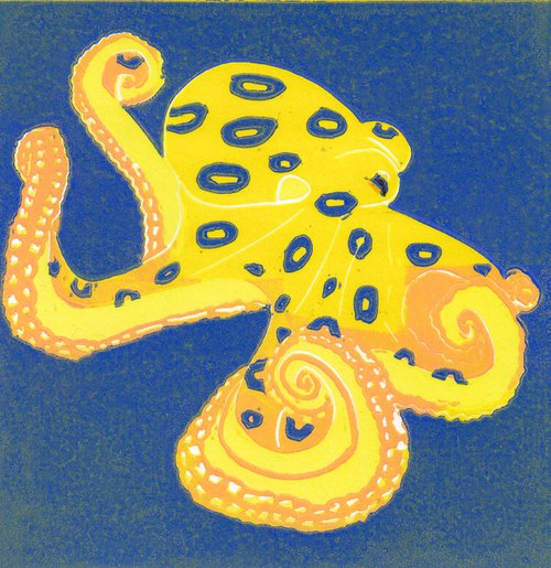 Blue-ringed Octopus by Drusilla  Cole