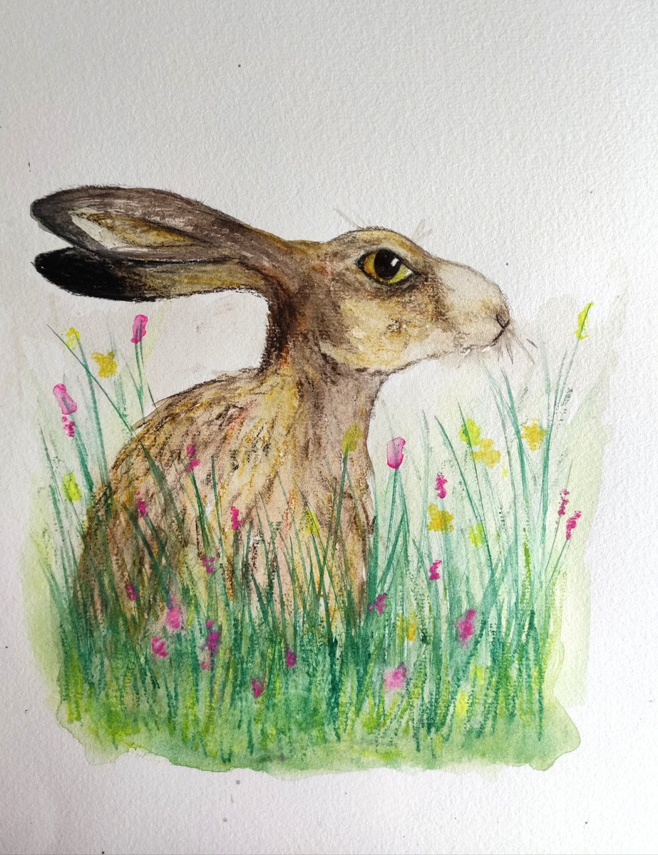 Hare in the meadow by Jenny Moran