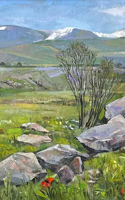 Spring Meadow by Aramayis Khlghatyan