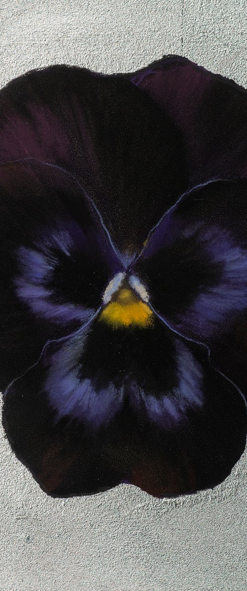 Pansy #13 by Oxana Babkina