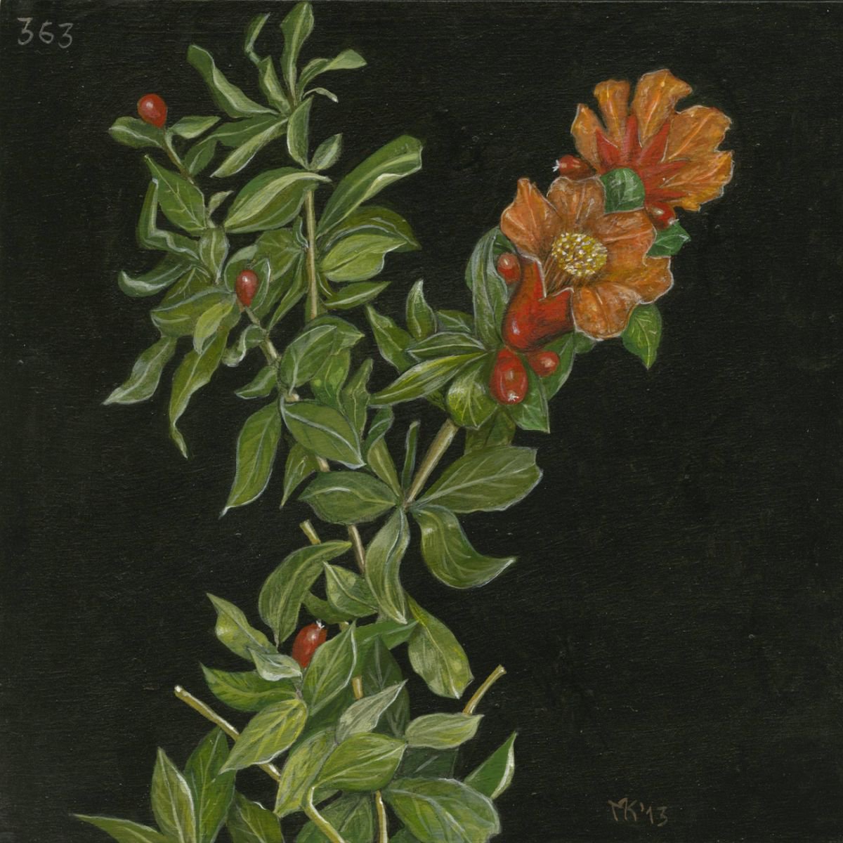 Red flower, day 363 by Markos Kampanis