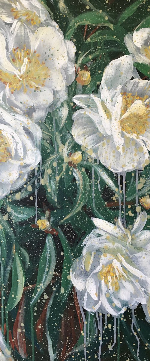 I Am Coming Home - White Camellia by HSIN LIN
