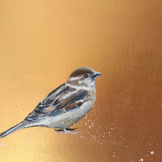 My Little Sparrow ~ on Gold