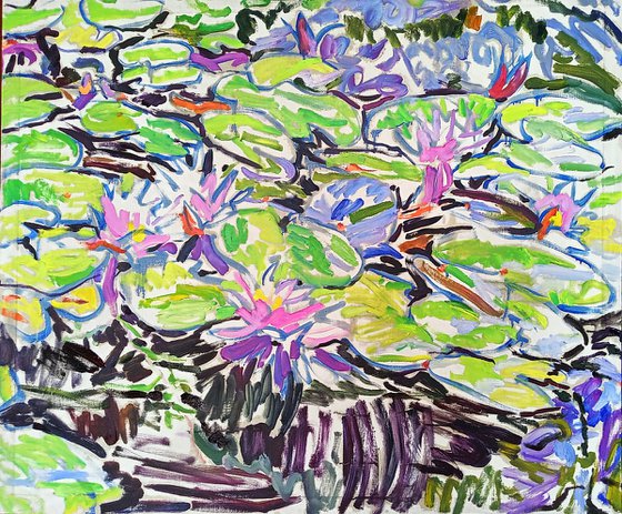 water lilies