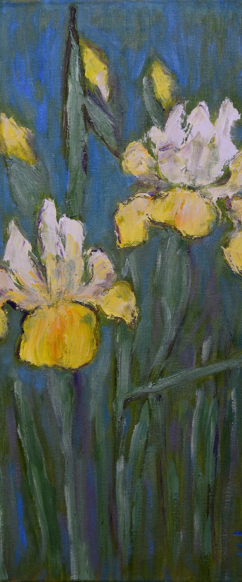 Yellow irises by Elena Zapassky