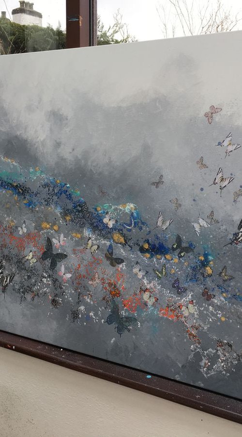 Fifty Shades of Butterfly by Laure Bury