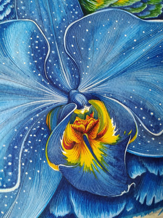 The Harmony of Vulnerability