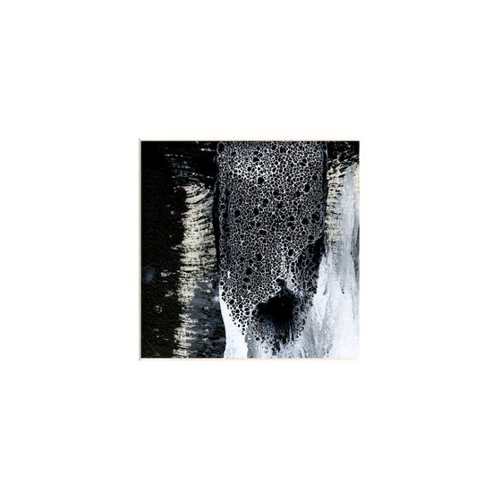 Brush Dance Collection 19