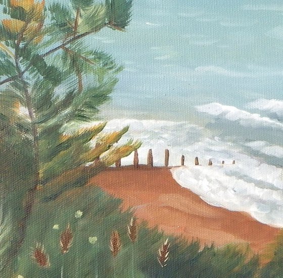 Pine trees by the sea
