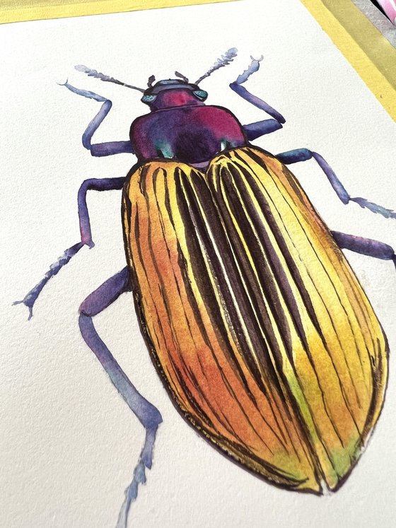 Golden beetle. Original watercolour artwork.