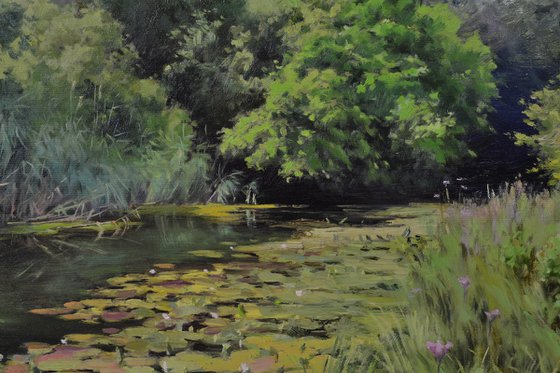 Lilies at noon