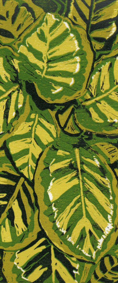 Tiger Leaves by Carole King