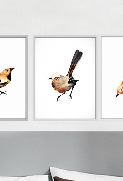 Birds by Nadia Moniatis