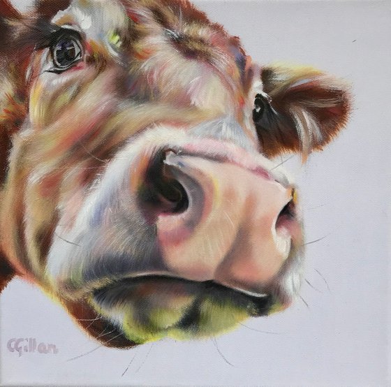 Nosey, original oil on stretched canvas