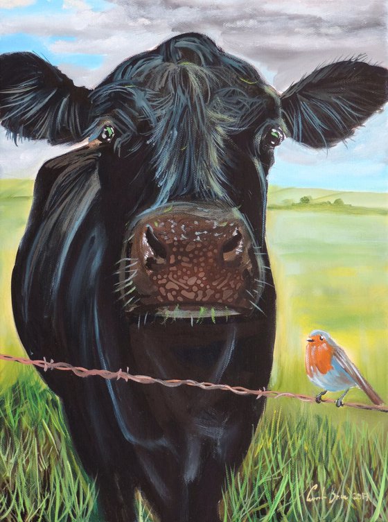 Cow and a Robin