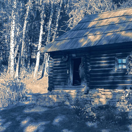 A hut in the forest.