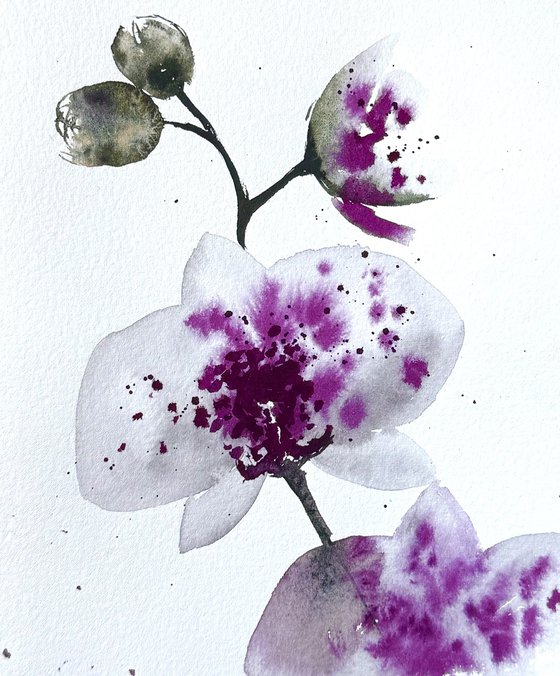 Wild White Purple Orchid