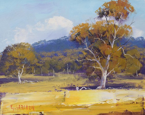 Golden Summer Landscape Australia