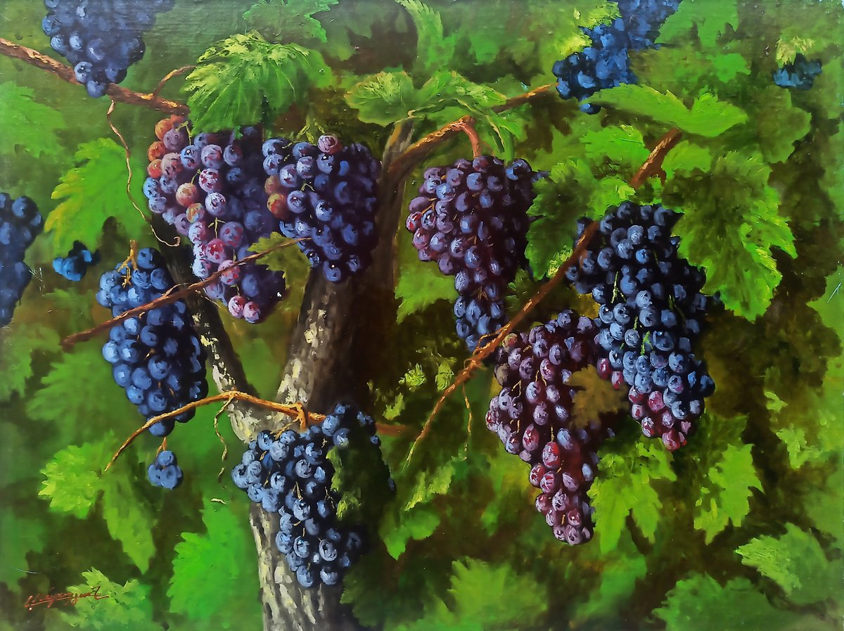 Photorealistic Still Life Oil Painting By Arayik Muradyan, 31 X 24, Vineyard, Original Artwork