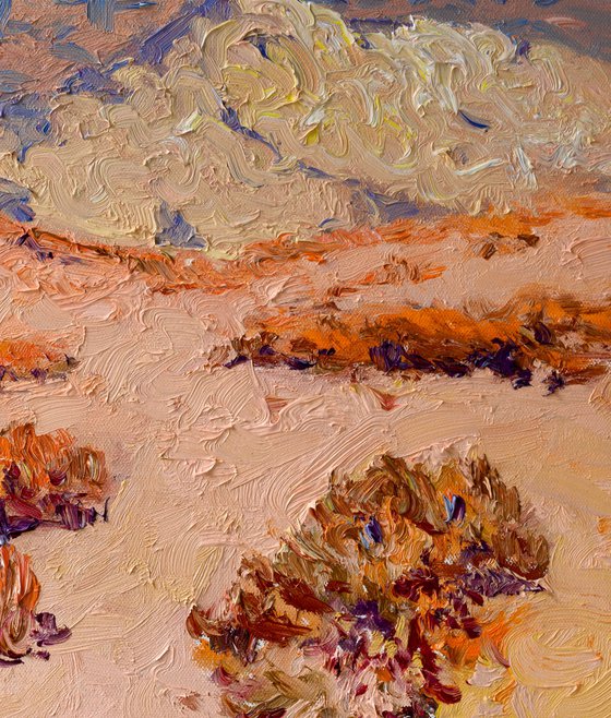 Sunny Midday. Desert